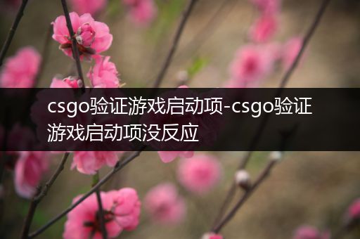 csgo验证游戏启动项-csgo验证游戏启动项没反应