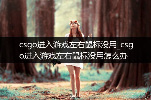 csgo进入游戏左右鼠标没用_csgo进入游戏左右鼠标没用怎么办