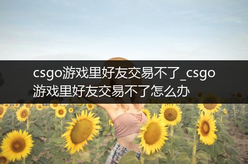 csgo游戏里好友交易不了_csgo游戏里好友交易不了怎么办