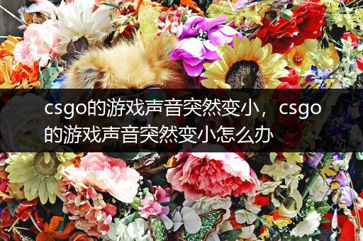 csgo的游戏声音突然变小，csgo的游戏声音突然变小怎么办