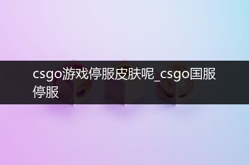 csgo游戏停服皮肤呢_csgo国服停服