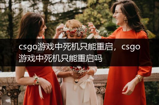 csgo游戏中死机只能重启，csgo游戏中死机只能重启吗