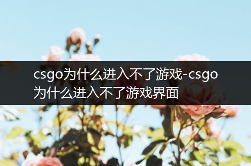 csgo为什么进入不了游戏-csgo为什么进入不了游戏界面