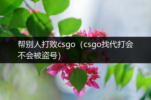 帮别人打败csgo（csgo找代打会不会被盗号）