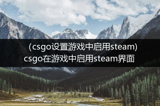 （csgo设置游戏中启用steam)csgo在游戏中启用steam界面