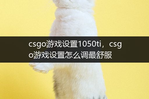 csgo游戏设置1050ti，csgo游戏设置怎么调最舒服