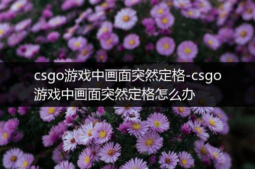 csgo游戏中画面突然定格-csgo游戏中画面突然定格怎么办