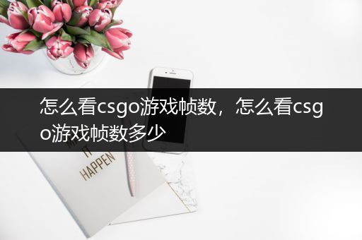 怎么看csgo游戏帧数，怎么看csgo游戏帧数多少