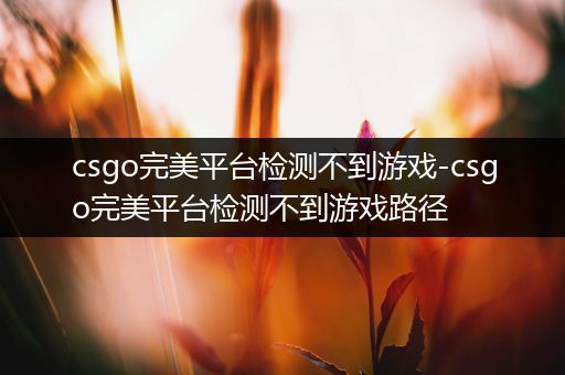 csgo完美平台检测不到游戏-csgo完美平台检测不到游戏路径