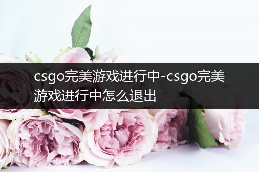 csgo完美游戏进行中-csgo完美游戏进行中怎么退出