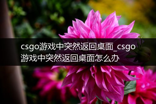 csgo游戏中突然返回桌面_csgo游戏中突然返回桌面怎么办
