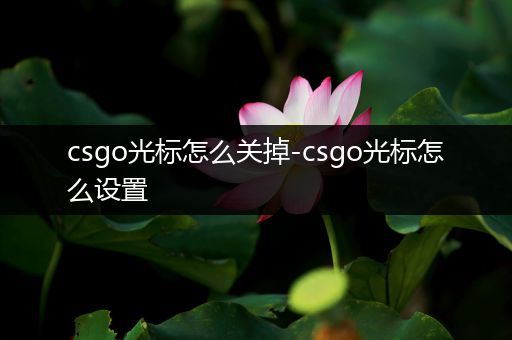 csgo光标怎么关掉-csgo光标怎么设置