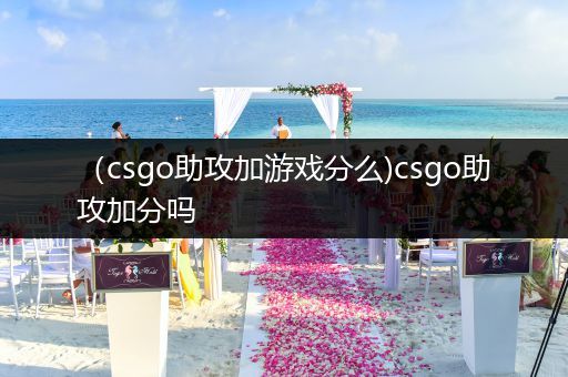 （csgo助攻加游戏分么)csgo助攻加分吗