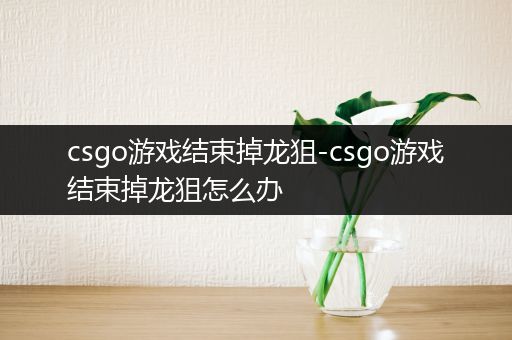 csgo游戏结束掉龙狙-csgo游戏结束掉龙狙怎么办