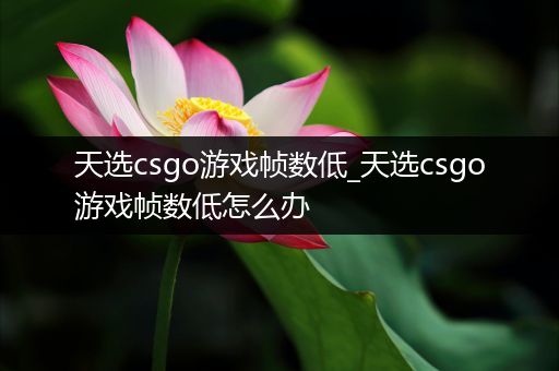 天选csgo游戏帧数低_天选csgo游戏帧数低怎么办
