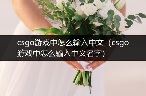 csgo游戏中怎么输入中文（csgo游戏中怎么输入中文名字）