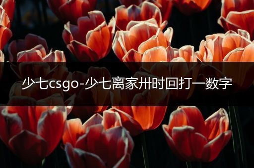 少七csgo-少七离家卅时回打一数字