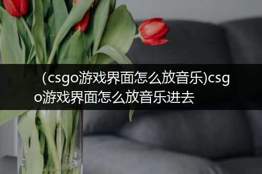 （csgo游戏界面怎么放音乐)csgo游戏界面怎么放音乐进去
