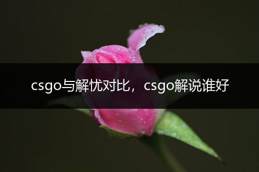 csgo与解忧对比，csgo解说谁好
