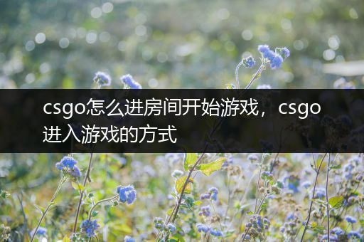 csgo怎么进房间开始游戏，csgo进入游戏的方式