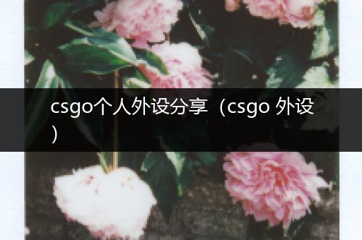 csgo个人外设分享（csgo 外设）