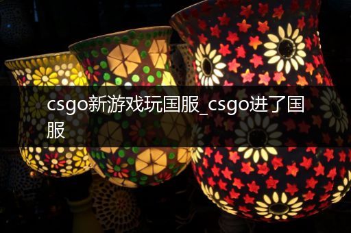 csgo新游戏玩国服_csgo进了国服