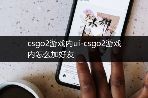 csgo2游戏内ui-csgo2游戏内怎么加好友