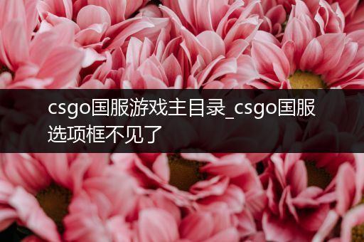 csgo国服游戏主目录_csgo国服选项框不见了
