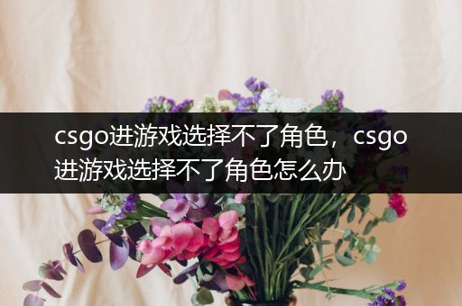 csgo进游戏选择不了角色，csgo进游戏选择不了角色怎么办
