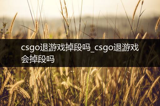 csgo退游戏掉段吗_csgo退游戏会掉段吗