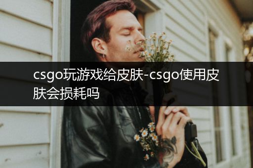 csgo玩游戏给皮肤-csgo使用皮肤会损耗吗