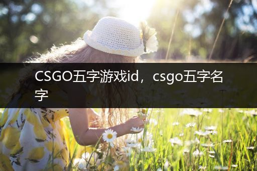 CSGO五字游戏id，csgo五字名字