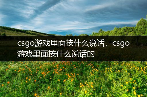 csgo游戏里面按什么说话，csgo游戏里面按什么说话的