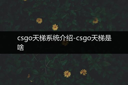 csgo天梯系统介绍-csgo天梯是啥