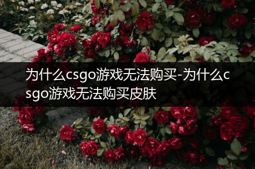 为什么csgo游戏无法购买-为什么csgo游戏无法购买皮肤