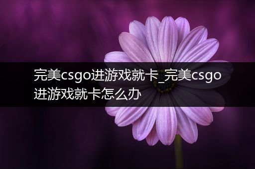 完美csgo进游戏就卡_完美csgo进游戏就卡怎么办