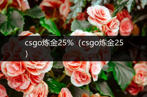 csgo炼金25%（csgo炼金25）
