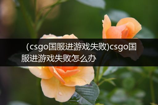 （csgo国服进游戏失败)csgo国服进游戏失败怎么办