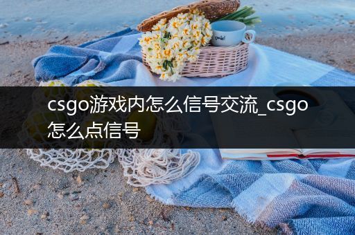csgo游戏内怎么信号交流_csgo怎么点信号