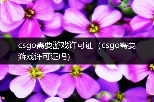 csgo需要游戏许可证（csgo需要游戏许可证吗）