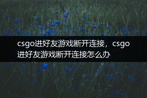 csgo进好友游戏断开连接，csgo进好友游戏断开连接怎么办