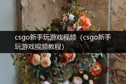 csgo新手玩游戏视频（csgo新手玩游戏视频教程）