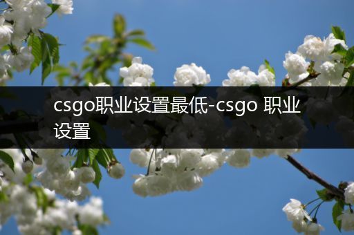 csgo职业设置最低-csgo 职业设置