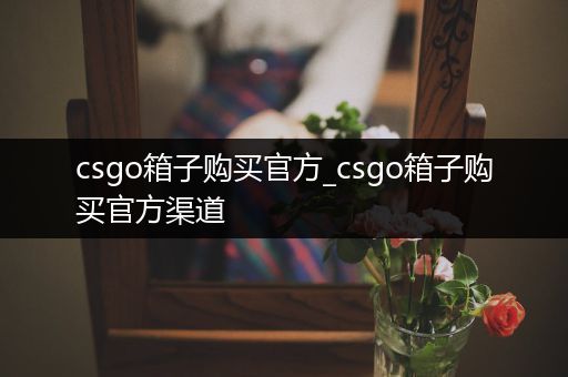 csgo箱子购买官方_csgo箱子购买官方渠道