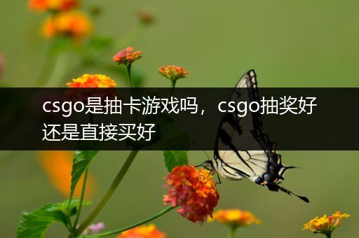 csgo是抽卡游戏吗，csgo抽奖好还是直接买好