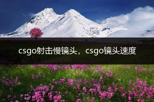 csgo射击慢镜头，csgo镜头速度