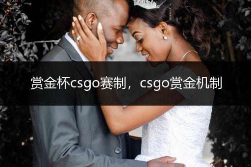 赏金杯csgo赛制，csgo赏金机制