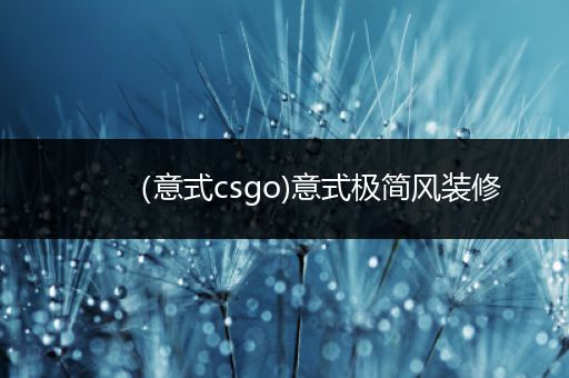 （意式csgo)意式极简风装修
