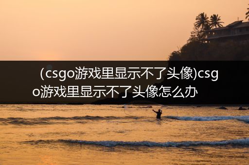 （csgo游戏里显示不了头像)csgo游戏里显示不了头像怎么办