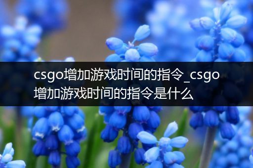 csgo增加游戏时间的指令_csgo增加游戏时间的指令是什么